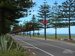 Amazing things are on the cards for Napiers Marine Parade